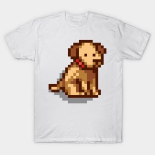 Dog 3 T-Shirt